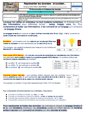 SFC1-9c-representer_les_donnees_le_booleen.webp